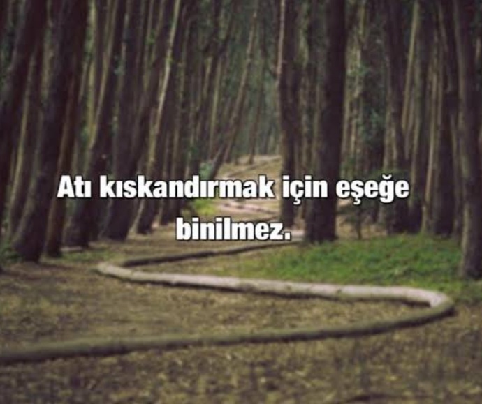 Sanal alemde eski sevgilinizi kıskandıracak/sinirlendirecek şeyler yapar mısınız?