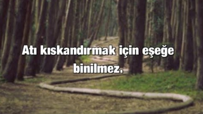 Sanal alemde eski sevgilinizi kıskandıracak/sinirlendirecek şeyler yapar mısınız?