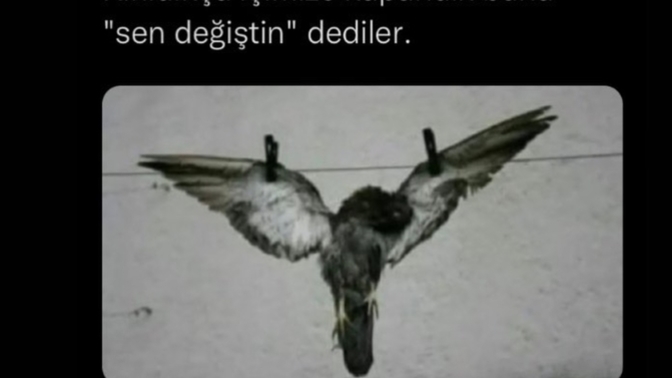 Sizi ne değiştirdi?