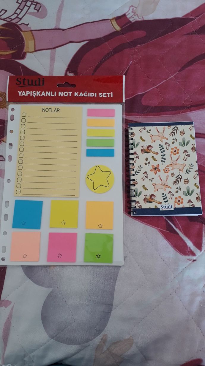 Açık öğretim için okul alışverişi yaptım, başka ne alabilirim?