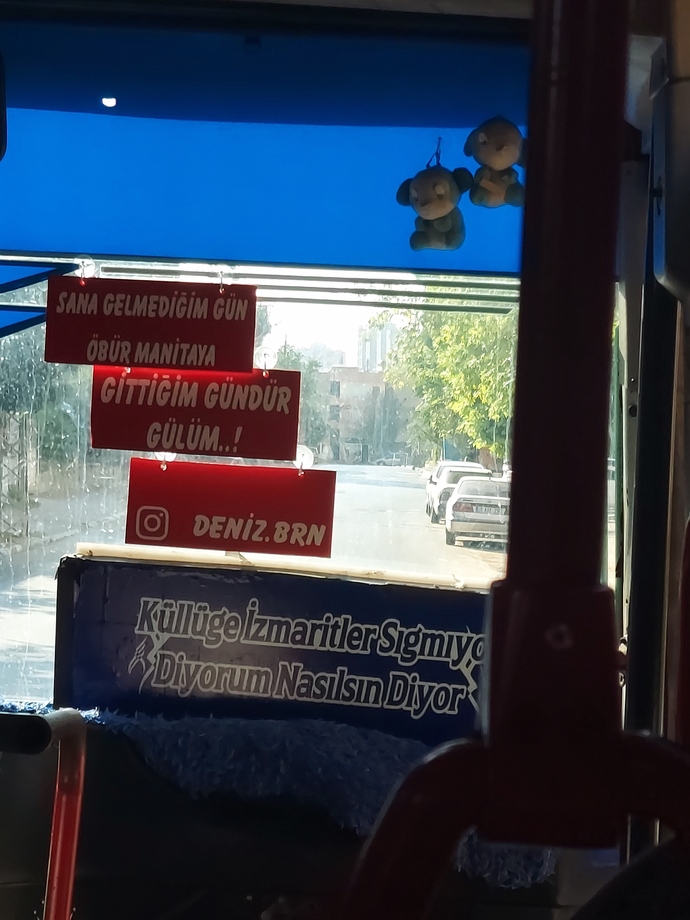 Aşk istemek suç oldu sanırım?