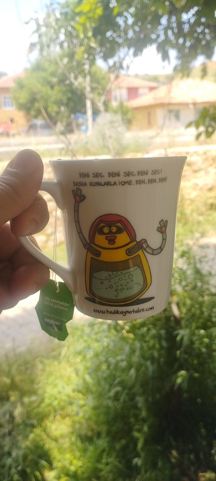 Hayatınızda en aktif nelerle uğraşıyorsunuz?