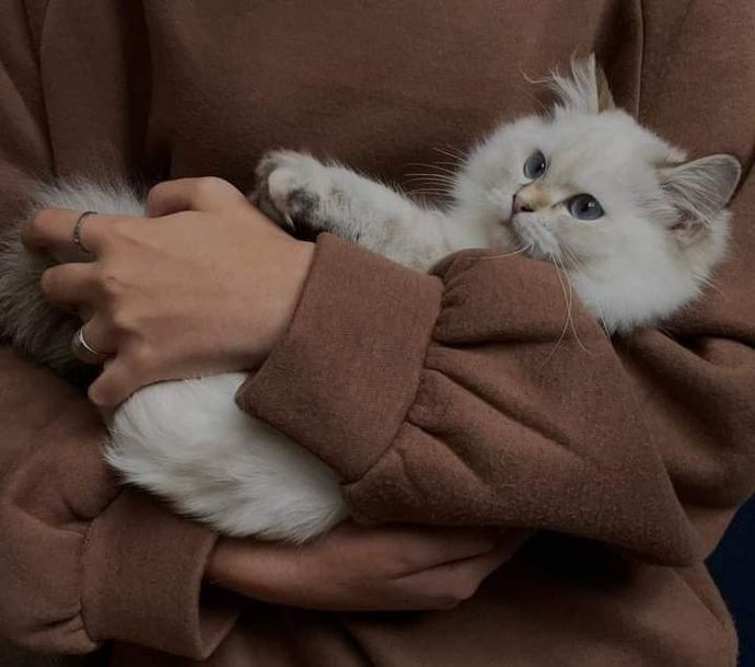 ❤