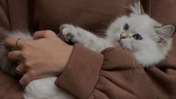 Tek duyguyla yaşamanız gerekse hangi duyguyu seçersiniz?