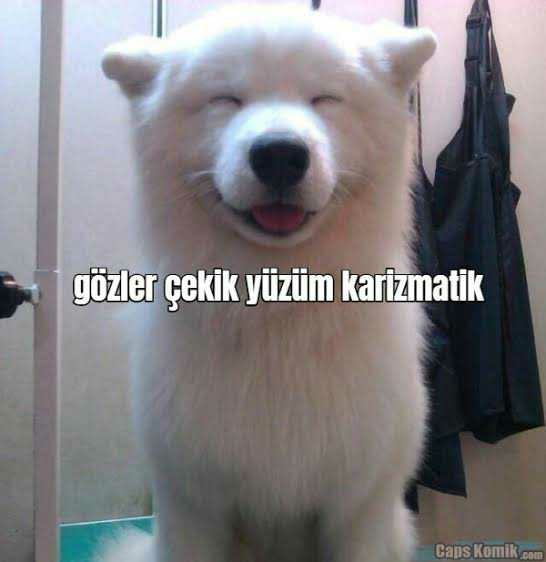 Karşı cinste ne ararsın?