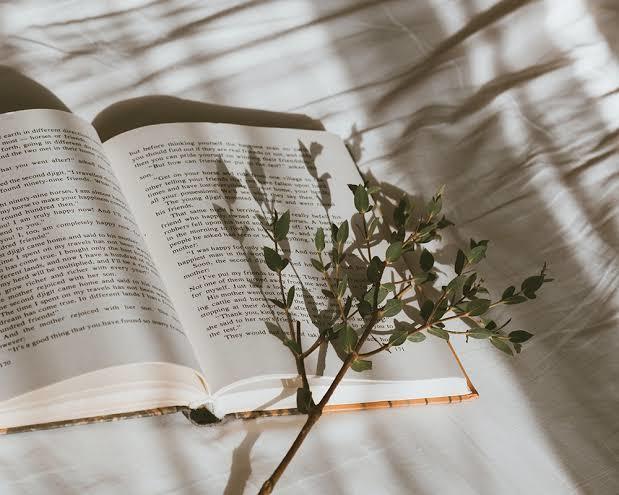 📚