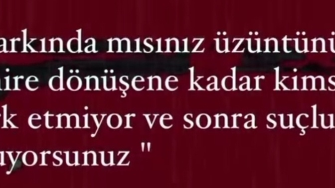 Üzüntünüzmü sinire dönüşür sinirinizmi üzüntüye?