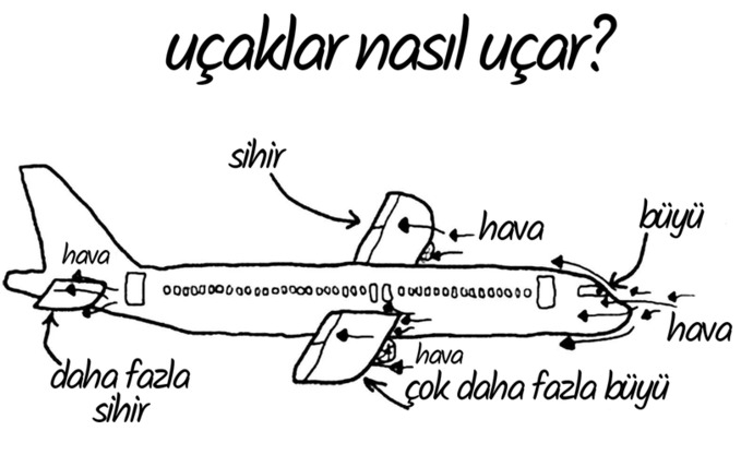Küçücük böceklerin karıncaların nasıl canı var?