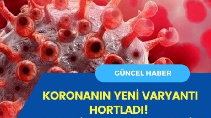 Türkiye'de görürdüyse yayılır mi?