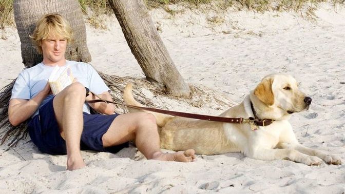 Eski sevgilim yeni aldığı köpeğe benim adımı koymuş, amacı ne?