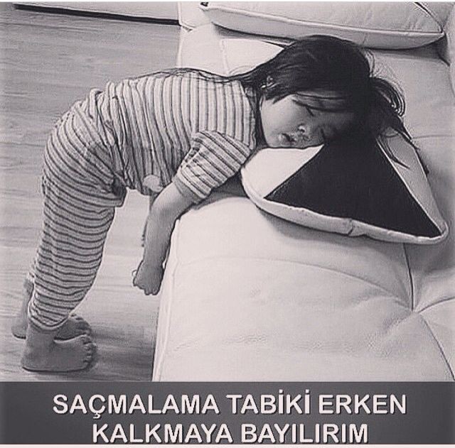 Aydı mı günün🥱?