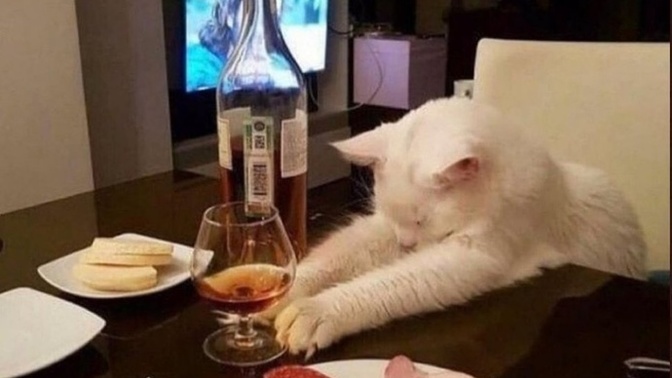 En son neyiniz tükendi?
