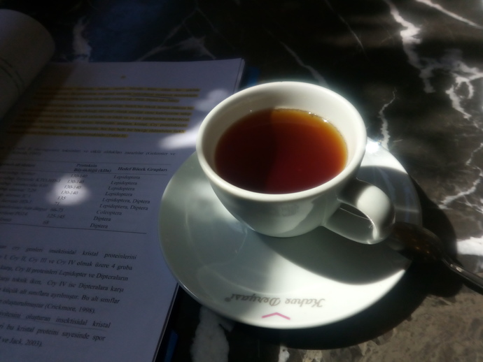 En sevdiğiniz sıcak içecek nedir ☕?