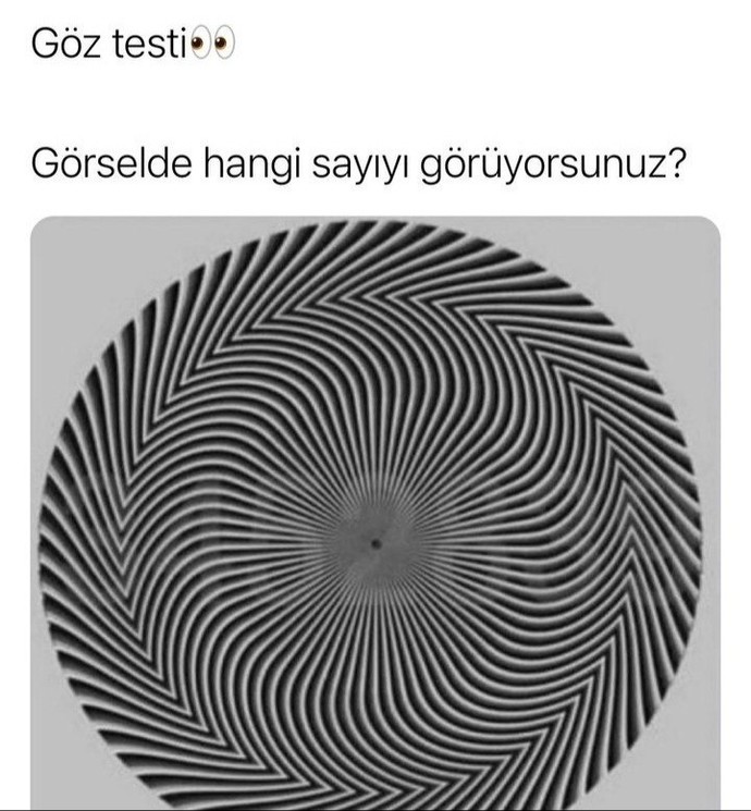Hangi sayıyı görüyorsunuz?