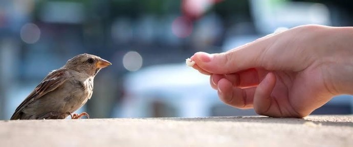 Yaptığınız iyiliğe karşılık teşekkür bekliyor musunuz?
