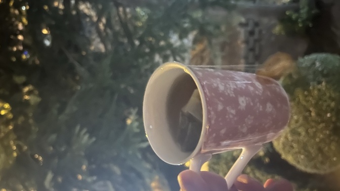 Gecenize neler eşlik ediyor?