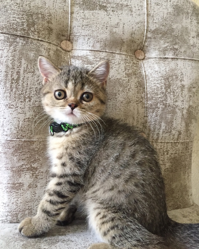 Çok şirinler 😻