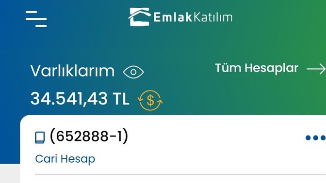 Bir miktar altın mi alsam?