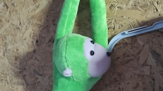 Daldan dala atlarım kuyruğumdan sarkarım. Bilin bakalım ben neyim?