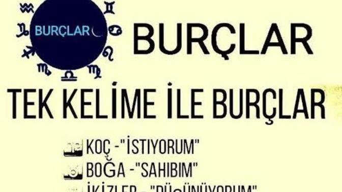 Burcunun söylediği tek kelime nedir?