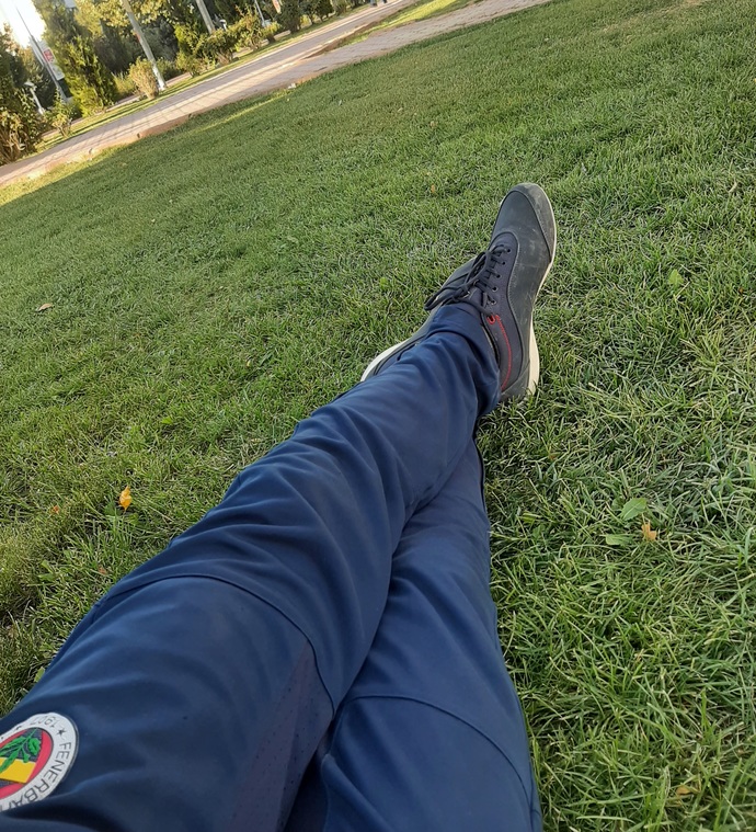 🍂