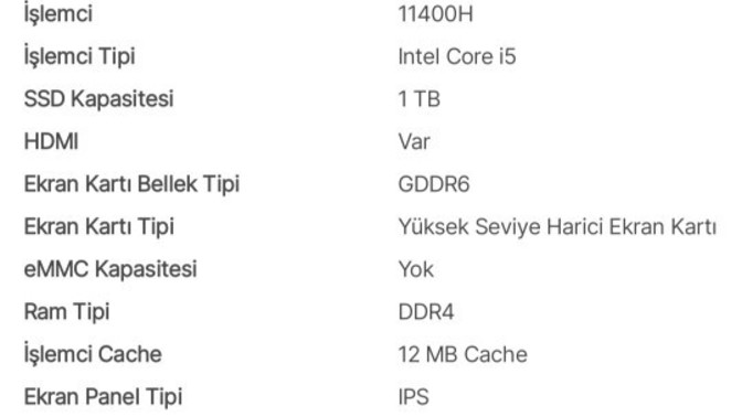 Sizce bu laptop alınır mı?