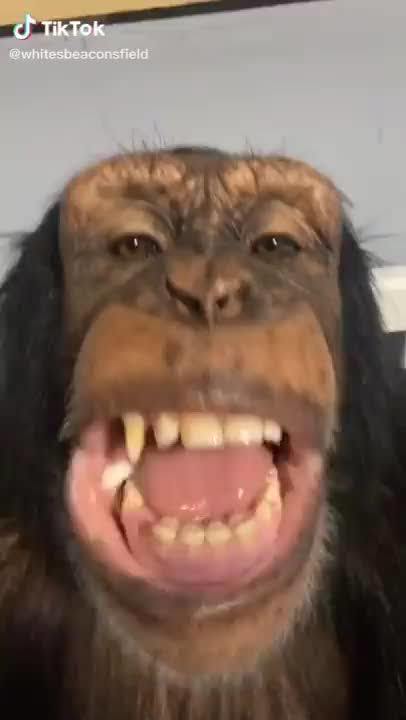 Kısa erkekler gereksiz değiller mi sizce de?