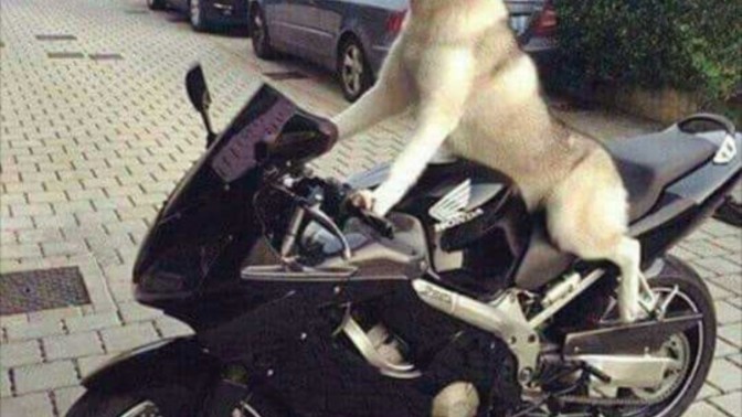 Kızlar Trafikte korkmadan Cesurca Motorsiklet Kullanabilir Mi?