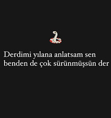 Hayatınız bir film olsaydı, IMDb puanı kaç olurdu?