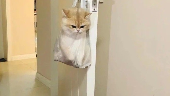 Yakın arkadaşınızın doğum gününüzü unutması mı yoksa sevgilinizin yıl dönümünüzü unutması mı kötü?