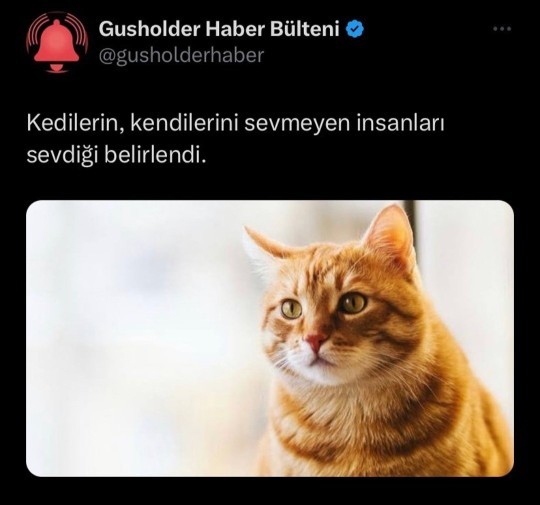 Değer vermeyene değer verir misiniz?