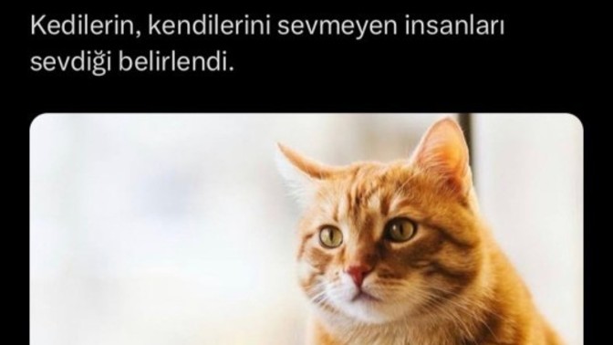 Değer vermeyene değer verir misiniz?