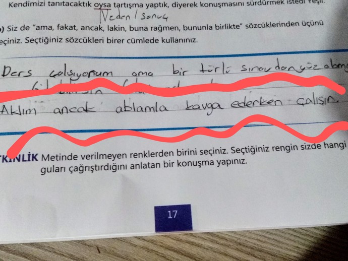 Küçükken ödevlerinizi yapar mıydınız?