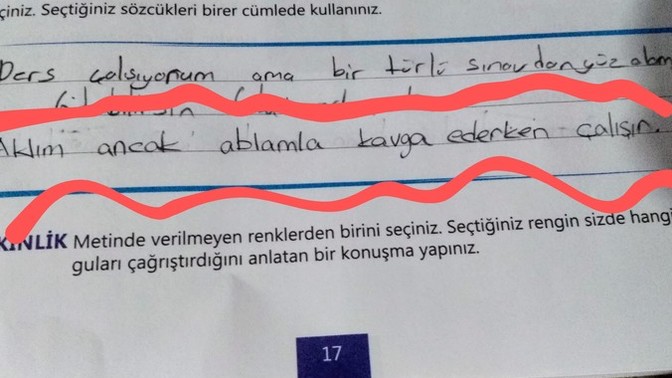 Küçükken ödevlerinizi yapar mıydınız?