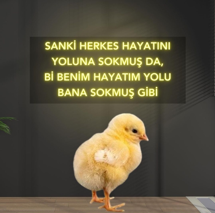 🤣