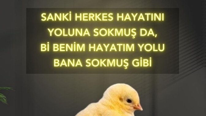 Siz hayatınızı yoluna mı soktunuz, yoksa o size mi 😨?