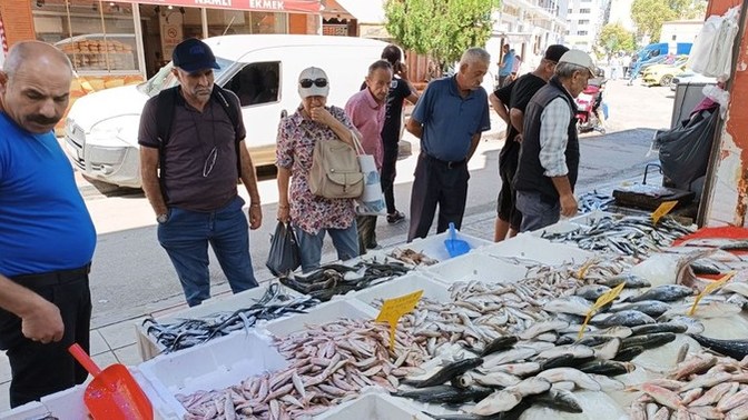 Yaşadığınız şehirde balık fiyatları ne durumda?