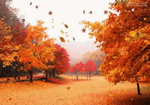 Yaprakların döküldüğü ve sıcacık kahve kokularının yayıldığı sonbahar mevsimini düşününce aklınıza neler geliyor 🍂?