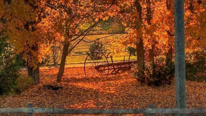 Yaprakların döküldüğü ve sıcacık kahve kokularının yayıldığı sonbahar mevsimini düşününce aklınıza neler geliyor 🍂?