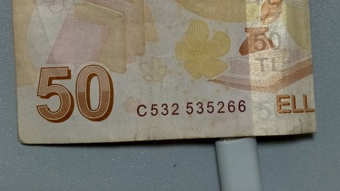TL nin değeri düştükçe canını en çok hangi durum sıkıyor?