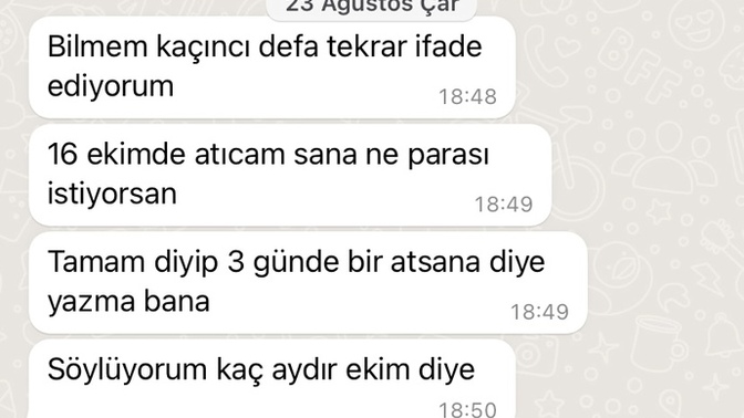 Borcunu vermeyip üstüne diklenen arkadaş modeline ne denir?