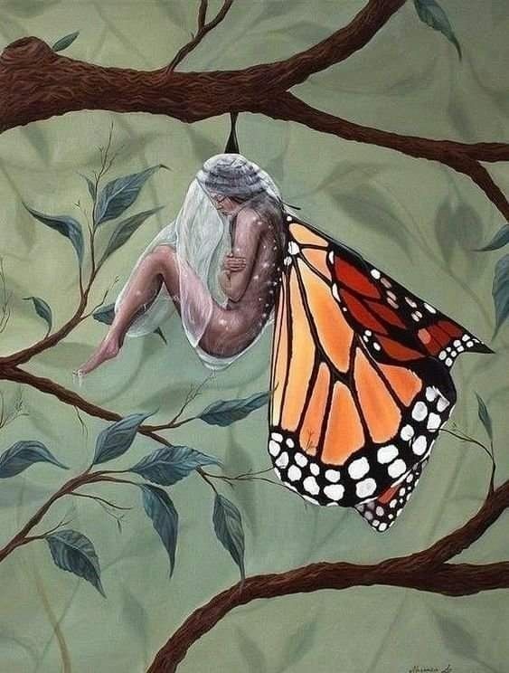 🦋Her şey bir şeyleri etkiler 🦋