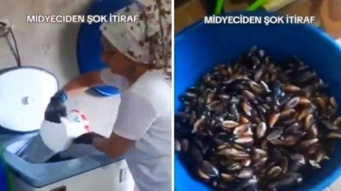 Midye yer misiniz?