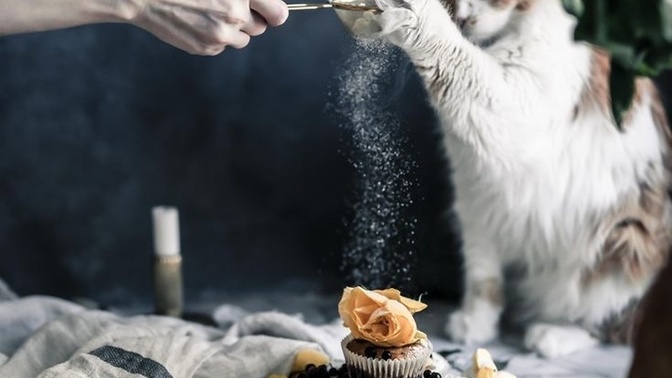 Akşam yemeğinde olsa da yesem dediğiniz canınızın çektiği bi yemek var mı?