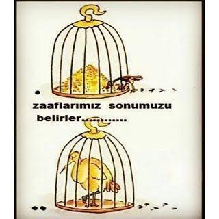Nelere zaafın vardır?