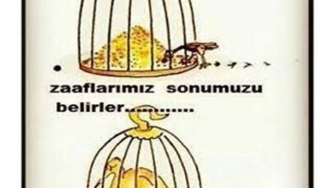 Nelere zaafın vardır?