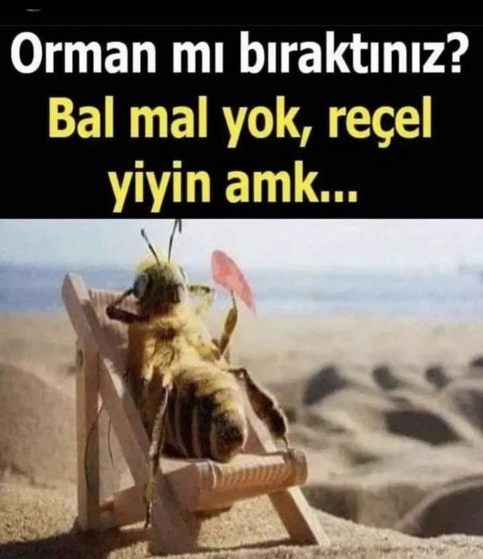İnsanlar artık flört edemeyecek kadar meteliksiz mi?