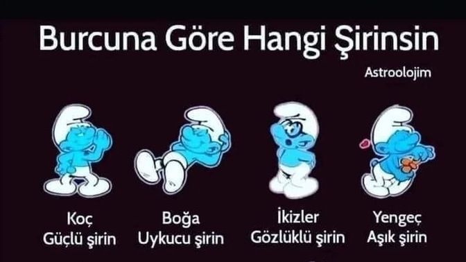 Burcuna göre sen hangi şirinsin?