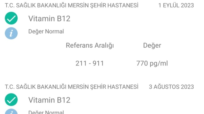 B12 değerinin 1 ayda yükselmesi neden olur?