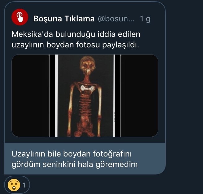 Konuştuğumuz insandan fotoğraf istemek gereksiz bir olay mı gerekli mi?